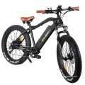 Big Power Fat Tire Mountain Electric Bicycle
